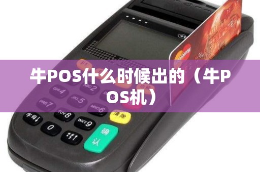 牛POS什么时候出的（牛POS机）