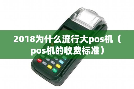 2018为什么流行大pos机（pos机的收费标准）