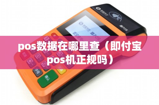 pos数据在哪里查（即付宝pos机正规吗）