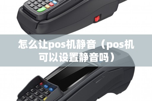 怎么让pos机静音（pos机可以设置静音吗）