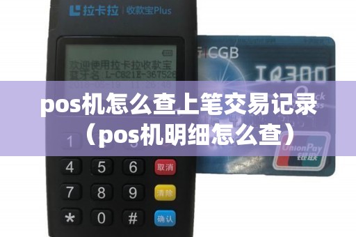 pos机怎么查上笔交易记录（pos机明细怎么查）