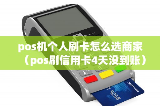 pos机个人刷卡怎么选商家（pos刷信用卡4天没到账）