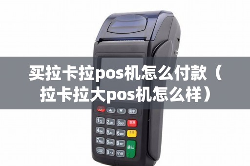 买拉卡拉pos机怎么付款（拉卡拉大pos机怎么样）