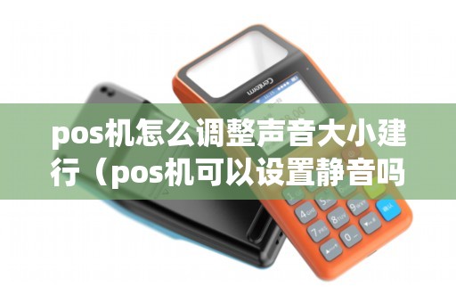 pos机怎么调整声音大小建行（pos机可以设置静音吗）