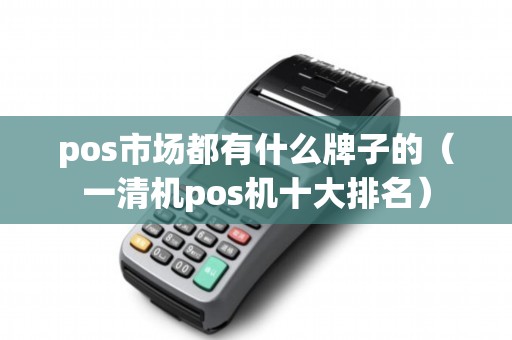 pos市场都有什么牌子的（一清机pos机十大排名）