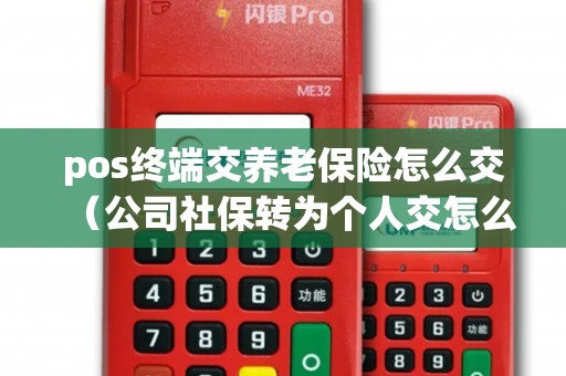 pos终端交养老保险怎么交（公司社保转为个人交怎么办理）