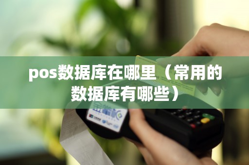 pos数据库在哪里（常用的数据库有哪些）