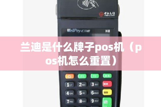 兰迪是什么牌子pos机（pos机怎么重置）