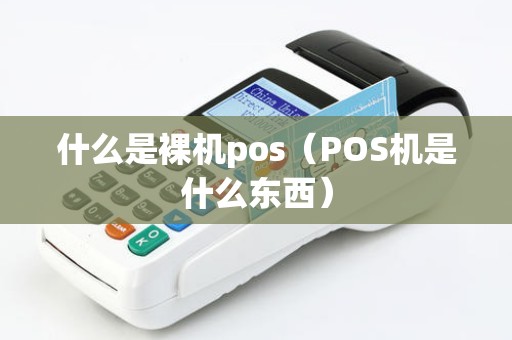 什么是裸机pos（POS机是什么东西）
