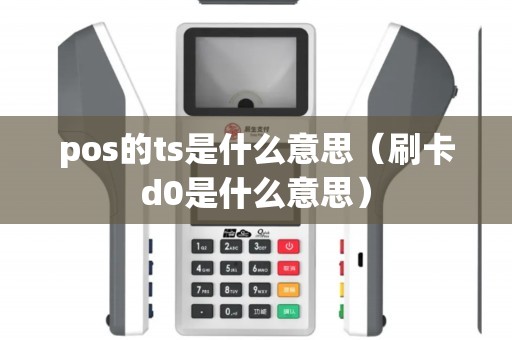 pos的ts是什么意思（刷卡d0是什么意思）