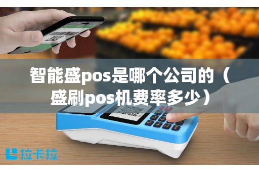 智能盛pos是哪个公司的（盛刷pos机费率多少）