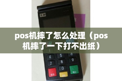 pos机摔了怎么处理（pos机摔了一下打不出纸）