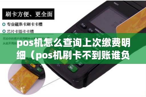 pos机怎么查询上次缴费明细（pos机刷卡不到账谁负责）