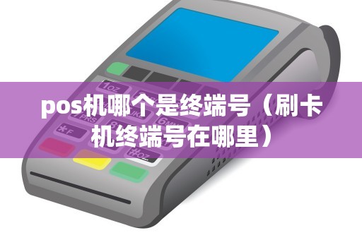pos机哪个是终端号（刷卡机终端号在哪里）