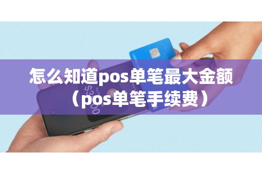 怎么知道pos单笔最大金额（pos单笔手续费）