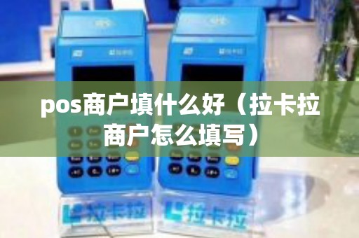 pos商户填什么好（拉卡拉商户怎么填写）