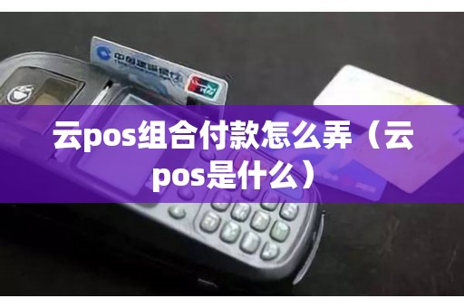 云pos组合付款怎么弄（云pos是什么）
