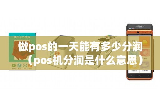 做pos的一天能有多少分润（pos机分润是什么意思）