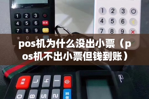 pos机为什么没出小票（pos机不出小票但钱到账）