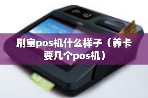 刷宝pos机什么样子（养卡要几个pos机）