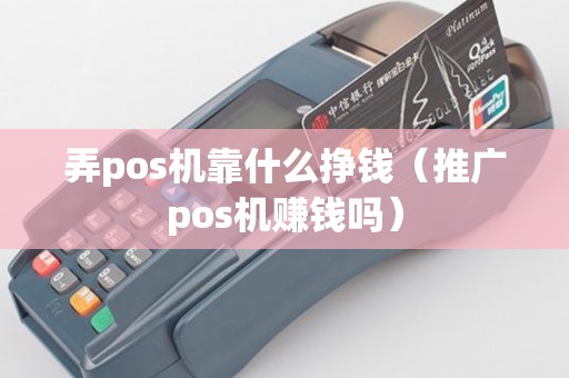 弄pos机靠什么挣钱（推广pos机赚钱吗）