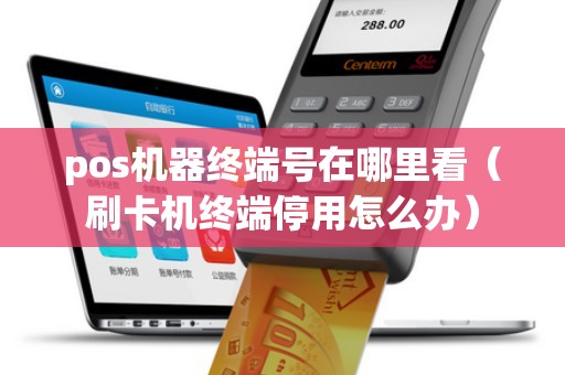 pos机器终端号在哪里看（刷卡机终端停用怎么办）