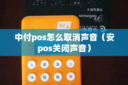 中付pos怎么取消声音（安pos关闭声音）