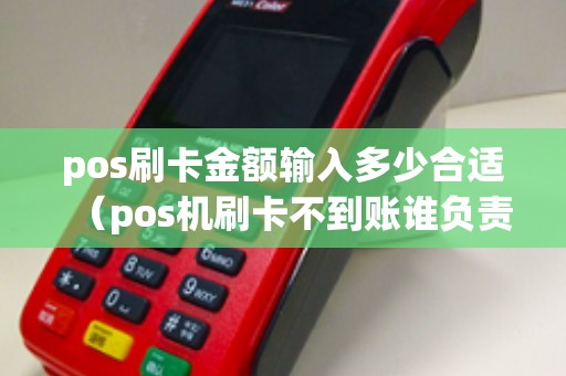 pos刷卡金额输入多少合适（pos机刷卡不到账谁负责）