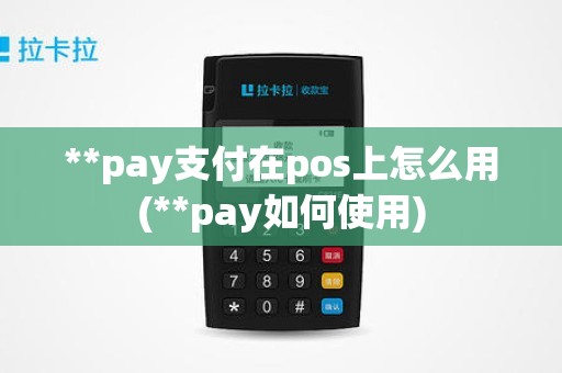 **pay支付在pos上怎么用(**pay如何使用)