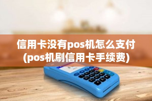 信用卡没有pos机怎么支付(pos机刷信用卡手续费)
