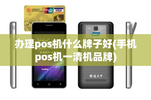办理pos机什么牌子好(手机pos机一清机品牌)