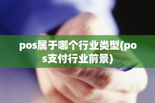 pos属于哪个行业类型(pos支付行业前景)