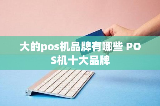 大的pos机品牌有哪些 POS机十大品牌