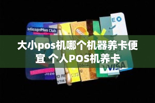 大小pos机哪个机器养卡便宜 个人POS机养卡