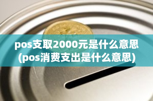pos支取2000元是什么意思(pos消费支出是什么意思)