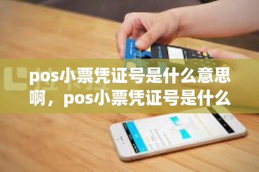 pos小票凭证号是什么意思啊，pos小票凭证号是什么意思啊