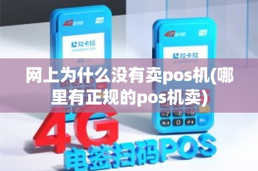网上为什么没有卖pos机(哪里有正规的pos机卖)