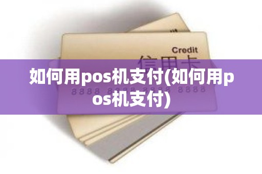 如何用pos机支付(如何用pos机支付)