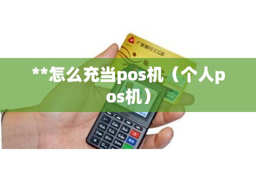 **怎么充当pos机（个人pos机）