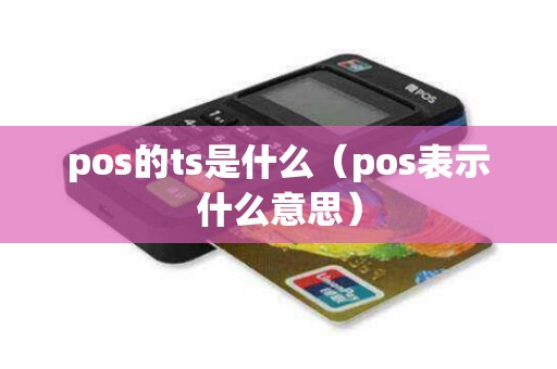 pos的ts是什么（pos表示什么意思）