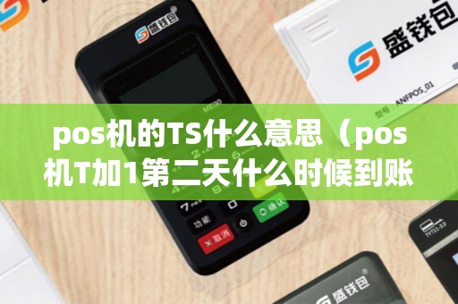 pos机的TS什么意思（pos机T加1第二天什么时候到账）