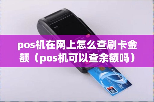 pos机在网上怎么查刷卡金额（pos机可以查余额吗）
