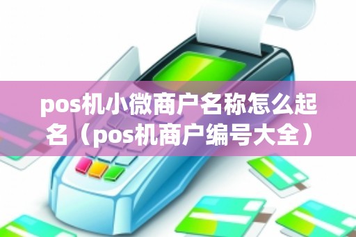 pos机小微商户名称怎么起名（pos机商户编号大全）