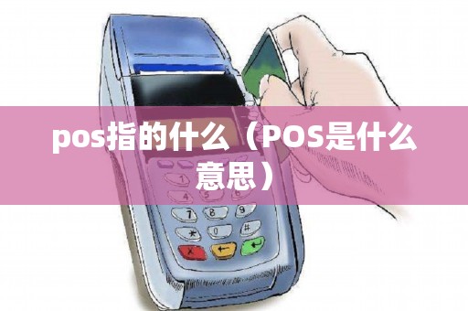 pos指的什么（POS是什么意思）