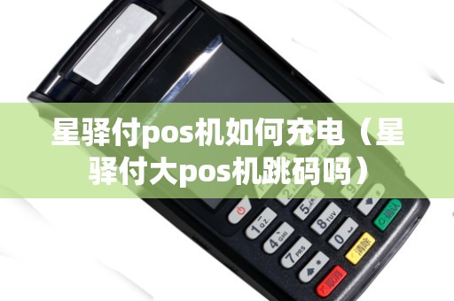 星驿付pos机如何充电（星驿付大pos机跳码吗）