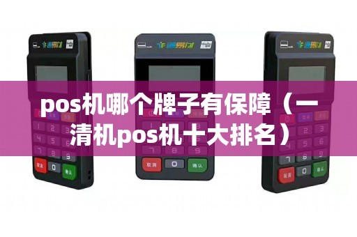 pos机哪个牌子有保障（一清机pos机十大排名）