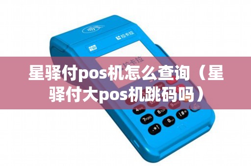 星驿付pos机怎么查询(星驿付大pos机跳码吗) 星驿付pos机怎么查询(星驿付大pos机跳码吗)