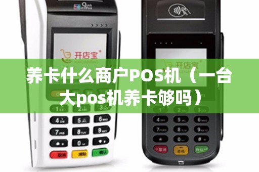 养卡什么商户POS机（一台大pos机养卡够吗）