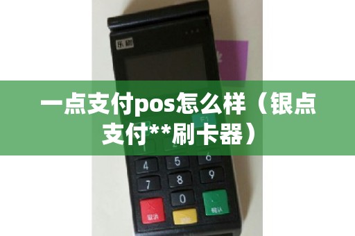 一点支付pos怎么样（银点支付**刷卡器）