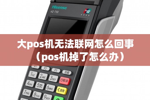 大pos机无法联网怎么回事（pos机掉了怎么办）
